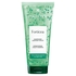 RENÉ FURTERER - Forticea Shampooing Énergisant - 50ml - 3282770389746