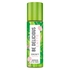 DKNY - Be Delicious Matcha Latte Body Mist - 250ml - 85715962683