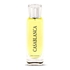 SWISS ARABIAN - Casablanca EDP - 100ml - 6295124024290