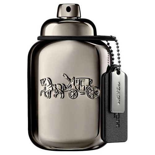 Pure Platinum Parfum