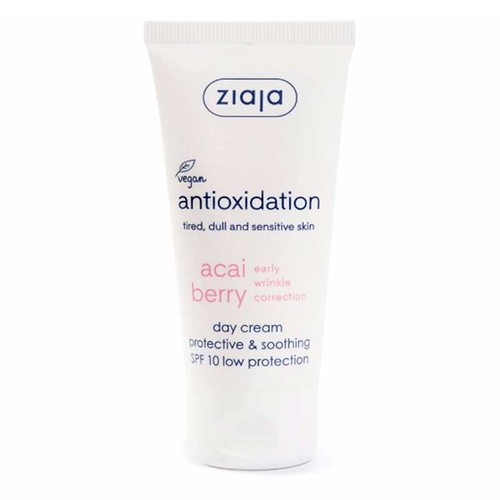 Antioxidation Day Cream SPF10