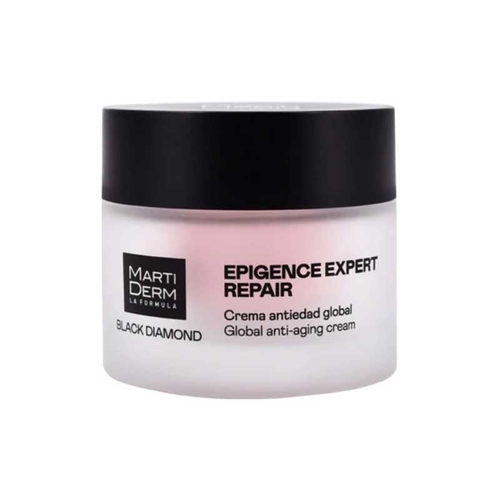 Black Diamond Epigence Expert Repair