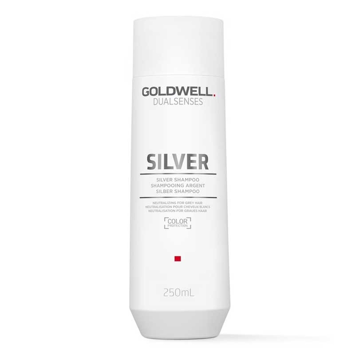 GOLDWELL - Dual Senses Silver Shampoo - 250ml - 4021609028710