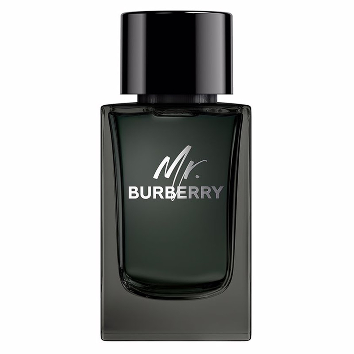BURBERRY - Mr. Burberry EDP - 100ml - 3616301838210